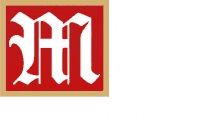 fifa semifinals icon